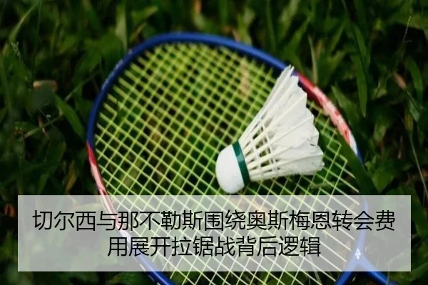 切尔西与那不勒斯围绕奥斯梅恩转会费用展开拉锯战背后逻辑